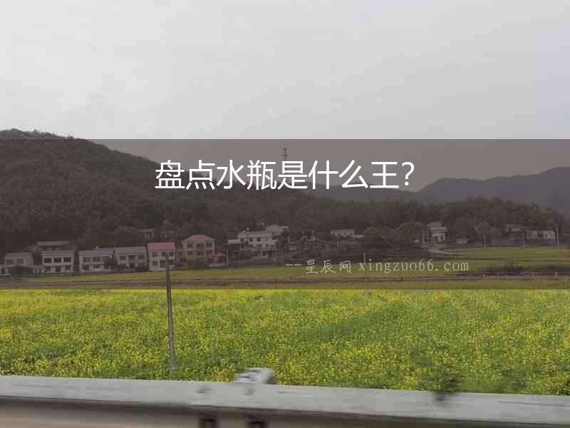 盤點水瓶是什么王？