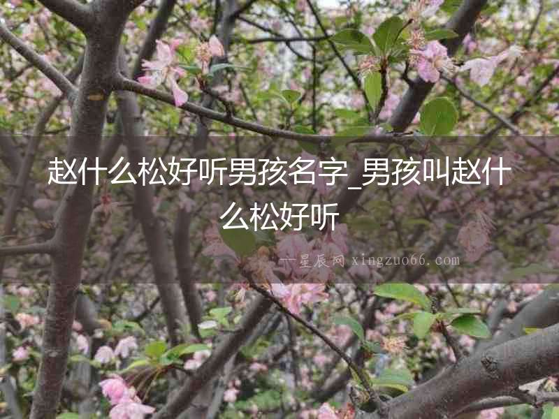 趙什么松好聽男孩名字_男孩叫趙什么松好聽