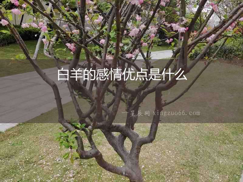 白羊的感情優點是什么