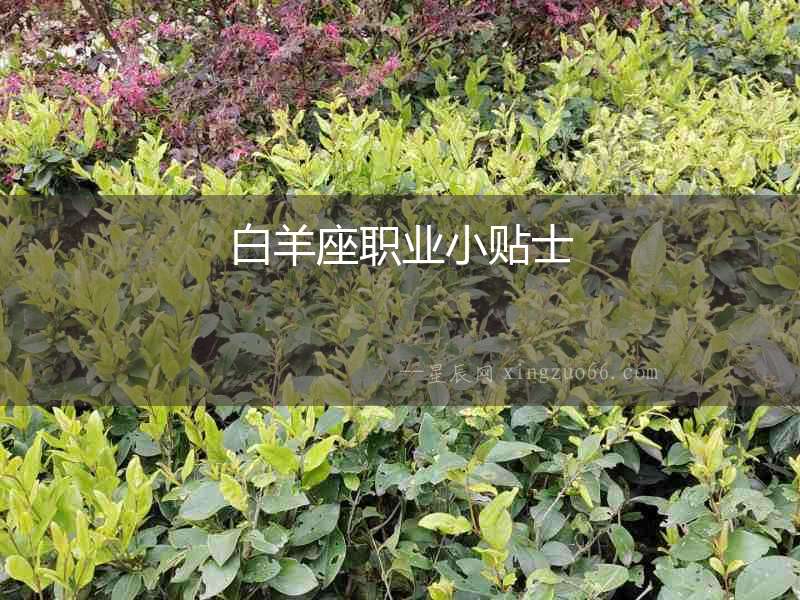 白羊座職業(yè)小貼士