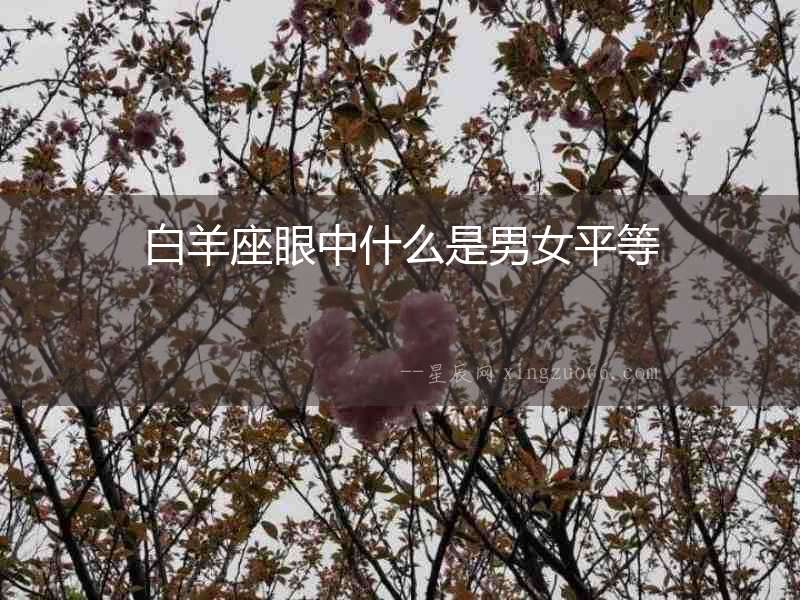 白羊座眼中什么是男女平等