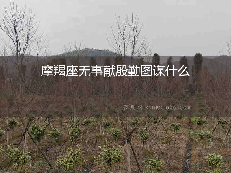 摩羯座無事獻殷勤圖謀什么