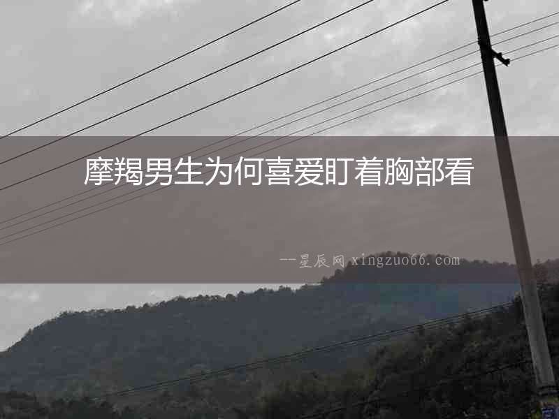 摩羯男生為何喜愛盯著胸部看