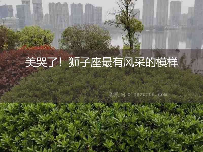 美哭了！獅子座最有風采的模樣