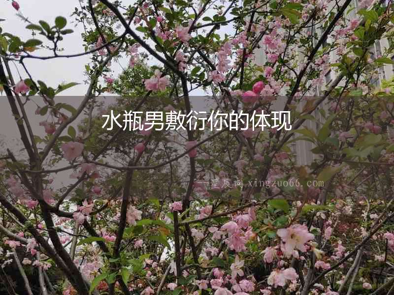 水瓶男敷衍你的體現