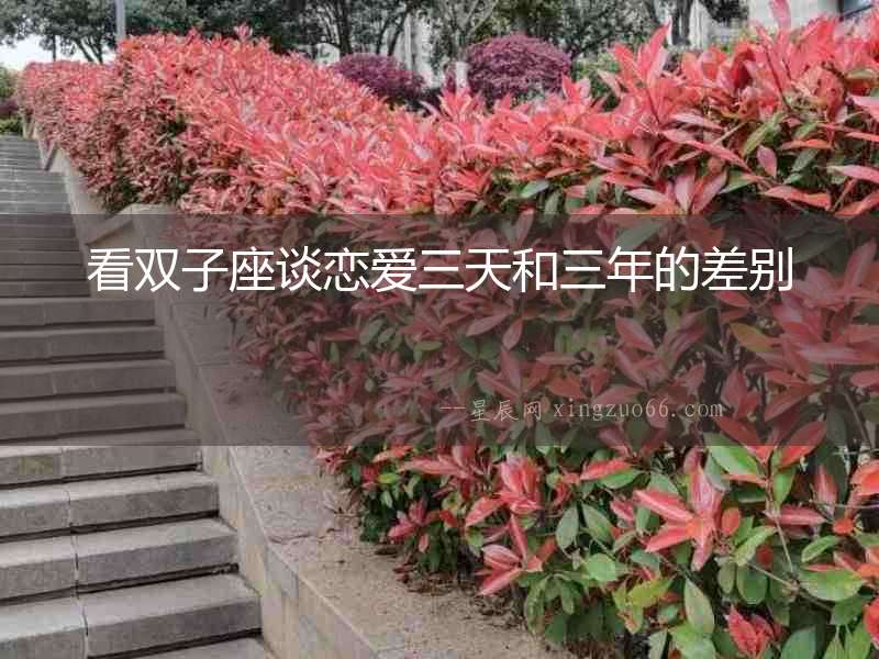 看雙子座談戀愛三天和三年的差別