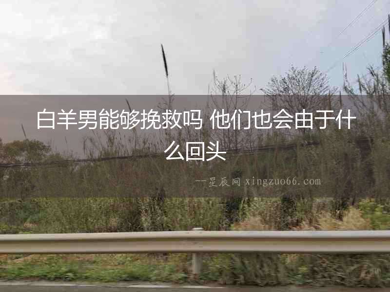 白羊男能夠挽救嗎 他們也會由于什么回頭