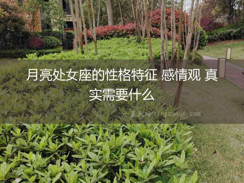 月亮處女座的性格特征 感情觀 真實需要什么