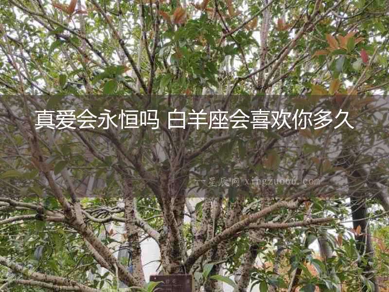 真愛(ài)會(huì)永恒嗎 白羊座會(huì)喜歡你多久