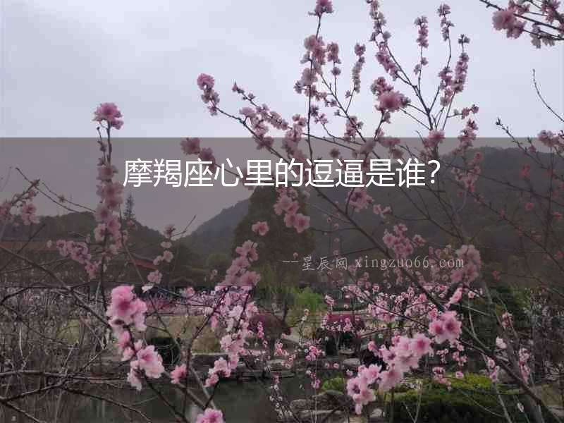 摩羯座心里的逗逼是誰？