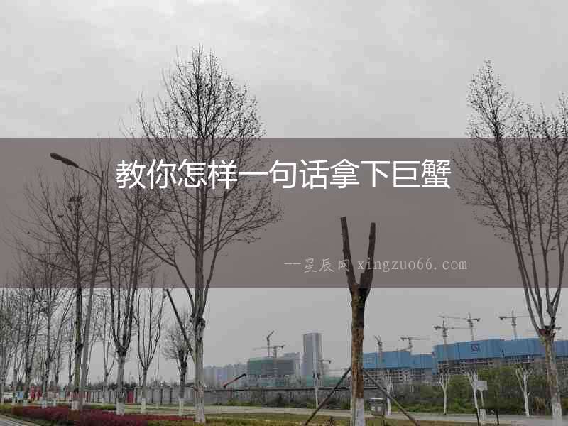 教你怎樣一句話拿下巨蟹