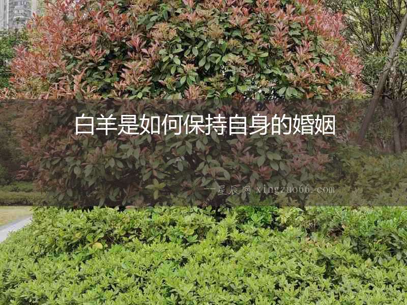 白羊是如何保持自身的婚姻