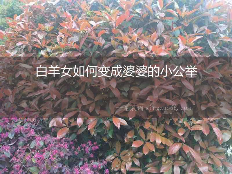 白羊女如何變成婆婆的小公舉