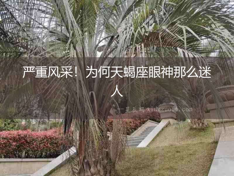 嚴(yán)重風(fēng)采！為何天蝎座眼神那么迷人