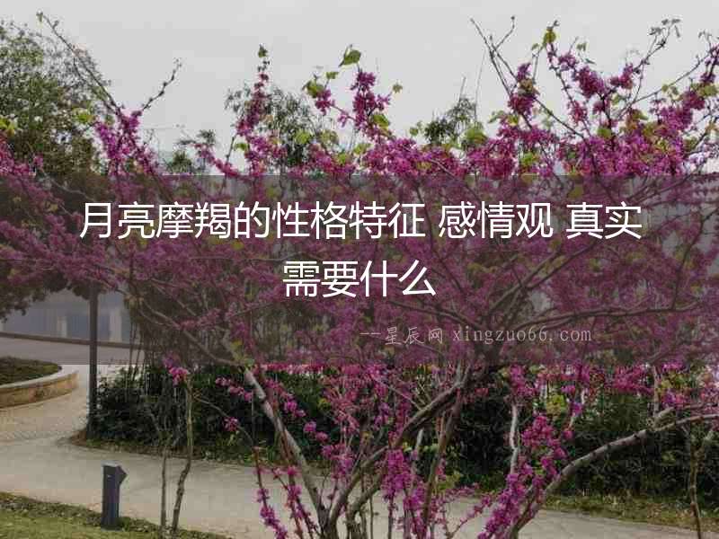 月亮摩羯的性格特征 感情觀 真實需要什么