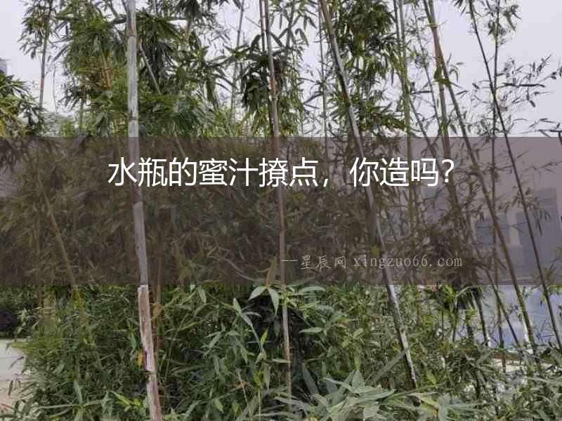 水瓶的蜜汁撩點，你造嗎？