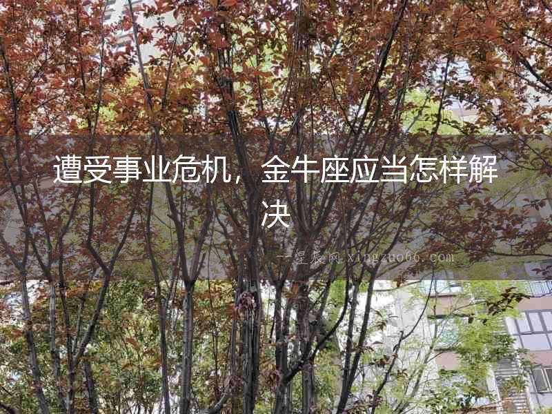 遭受事業危機，金牛座應當怎樣解決