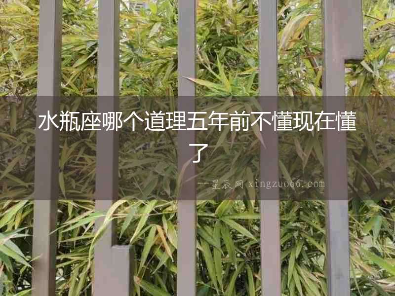 水瓶座哪個道理五年前不懂現在懂了