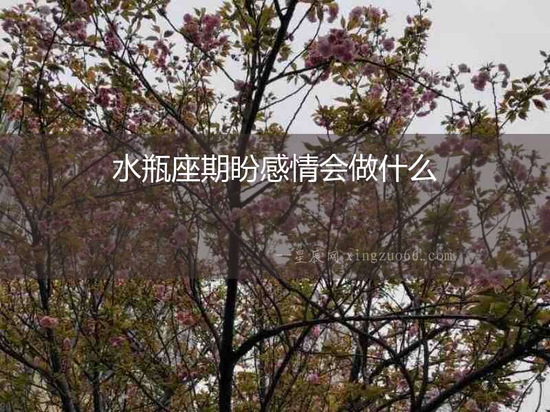 水瓶座期盼感情會做什么