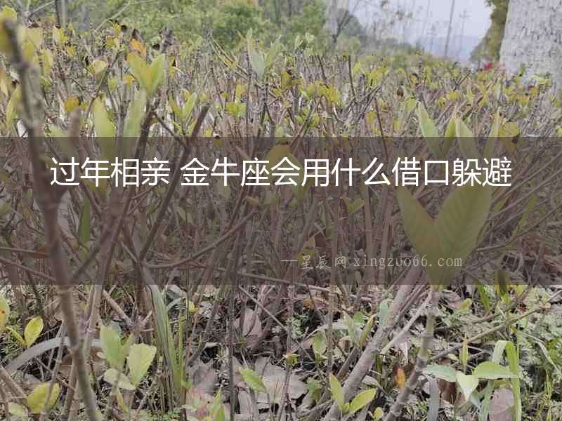 過年相親 金牛座會(huì)用什么借口躲避