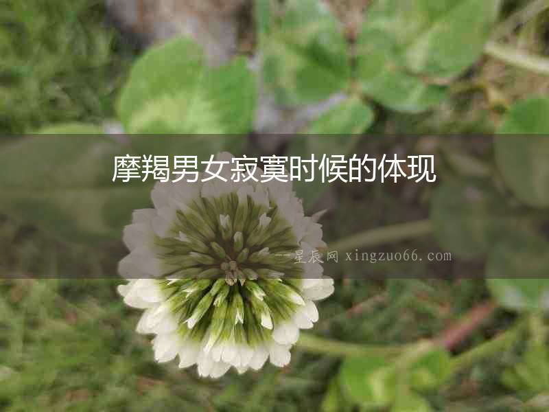 摩羯男女寂寞時候的體現