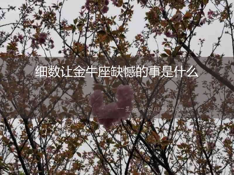 細數讓金牛座缺憾的事是什么