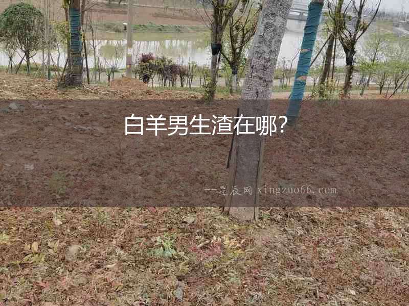 白羊男生渣在哪？