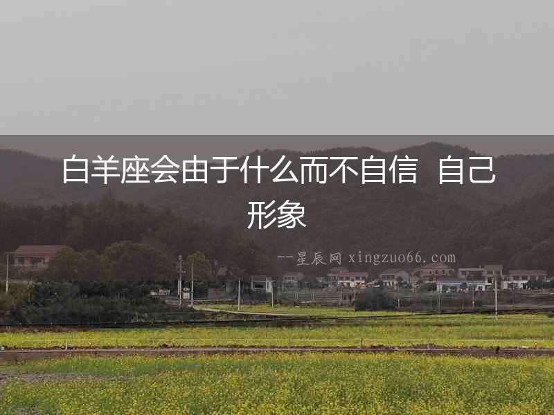 白羊座會由于什么而不自信  自己形象