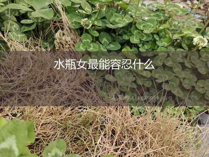 水瓶女最能容忍什么