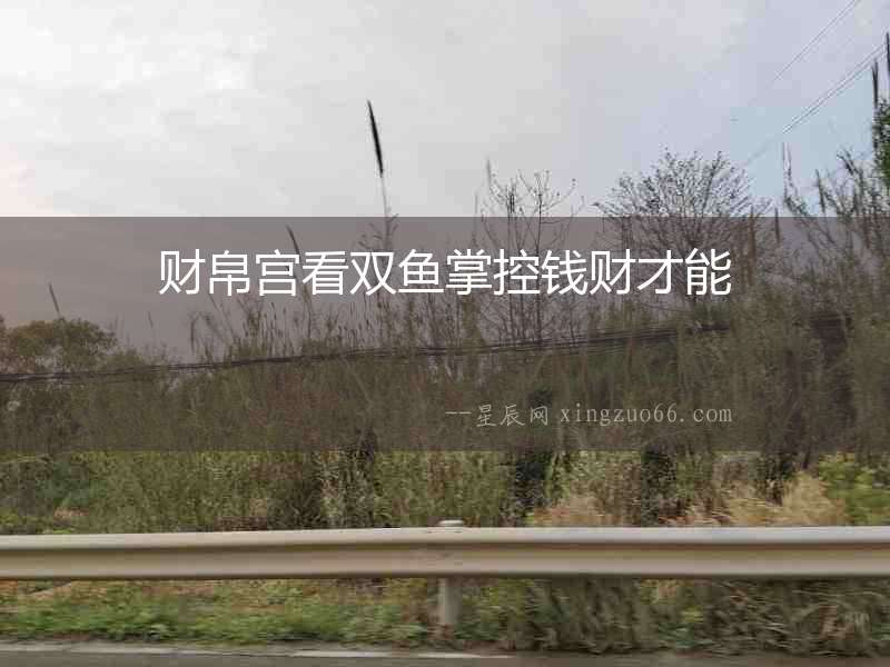 財帛宮看雙魚掌控錢財才能