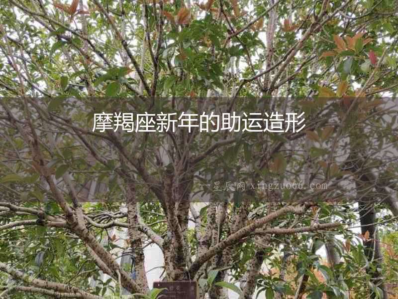 摩羯座新年的助運造形