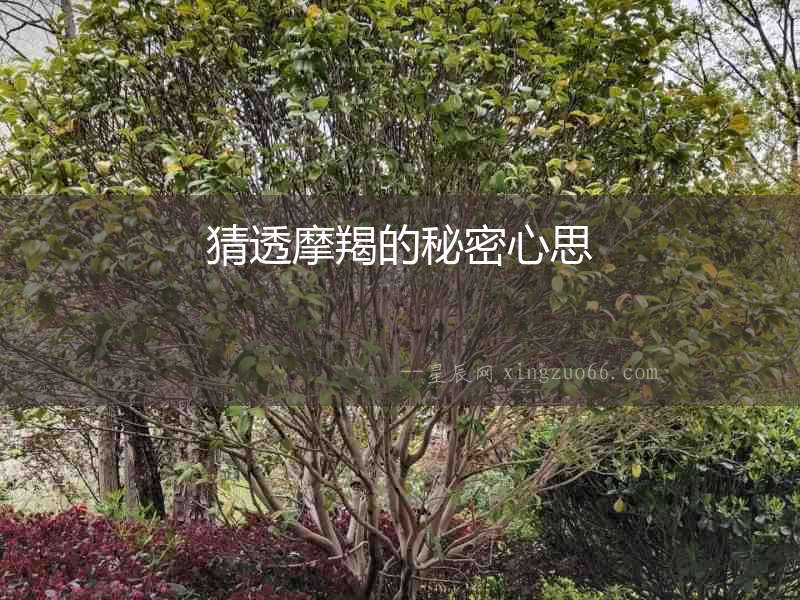 猜透摩羯的秘密心思