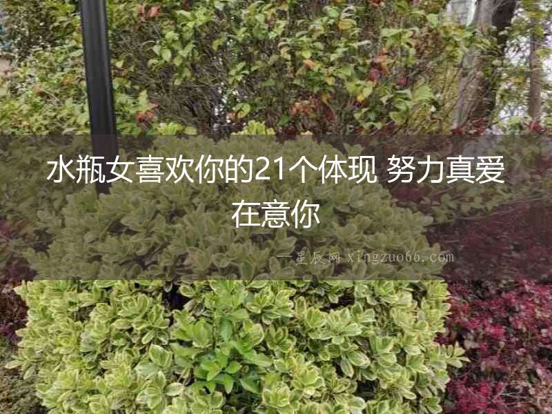 水瓶女喜歡你的21個體現(xiàn) 努力真愛在意你