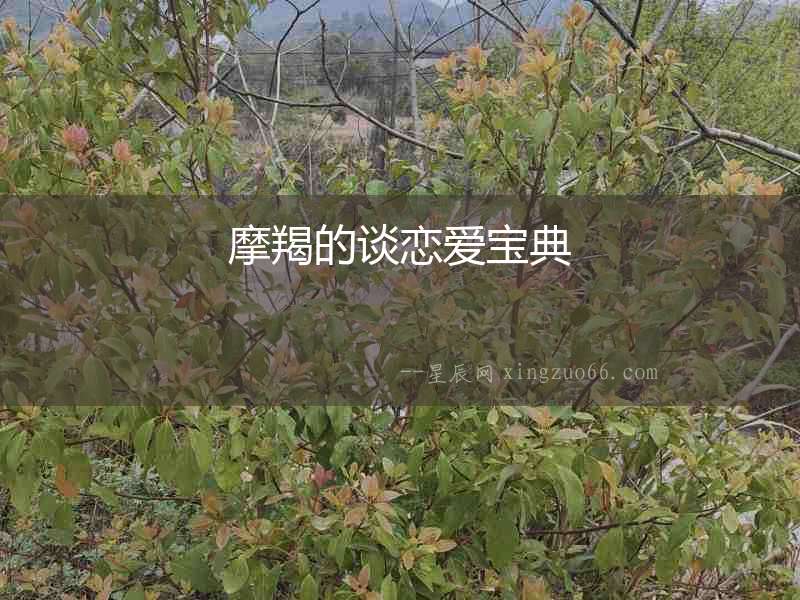 摩羯的談戀愛(ài)寶典