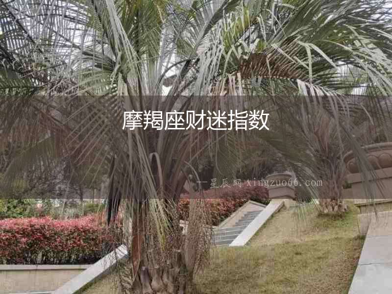 摩羯座財(cái)迷指數(shù)