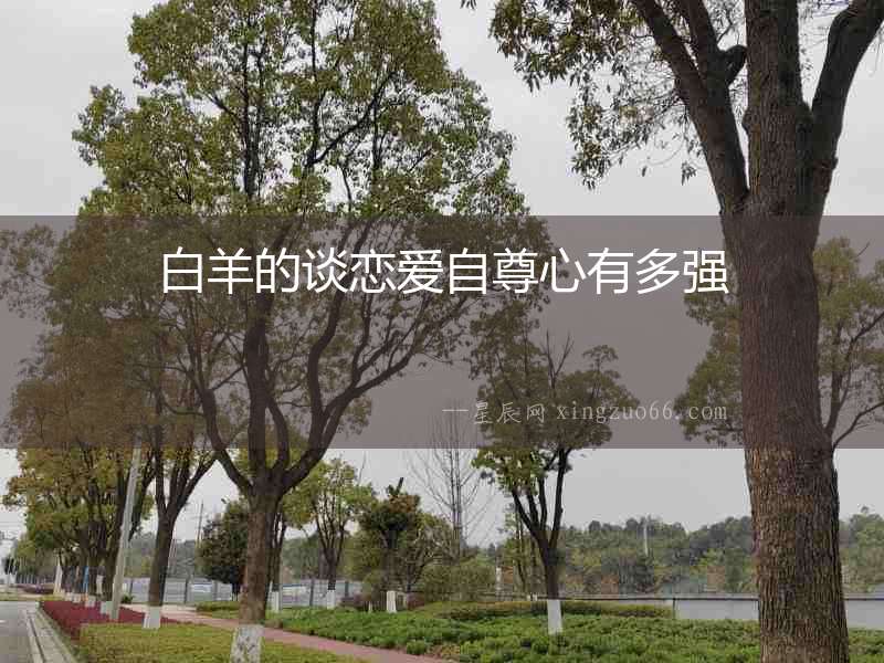 白羊的談戀愛自尊心有多強(qiáng)