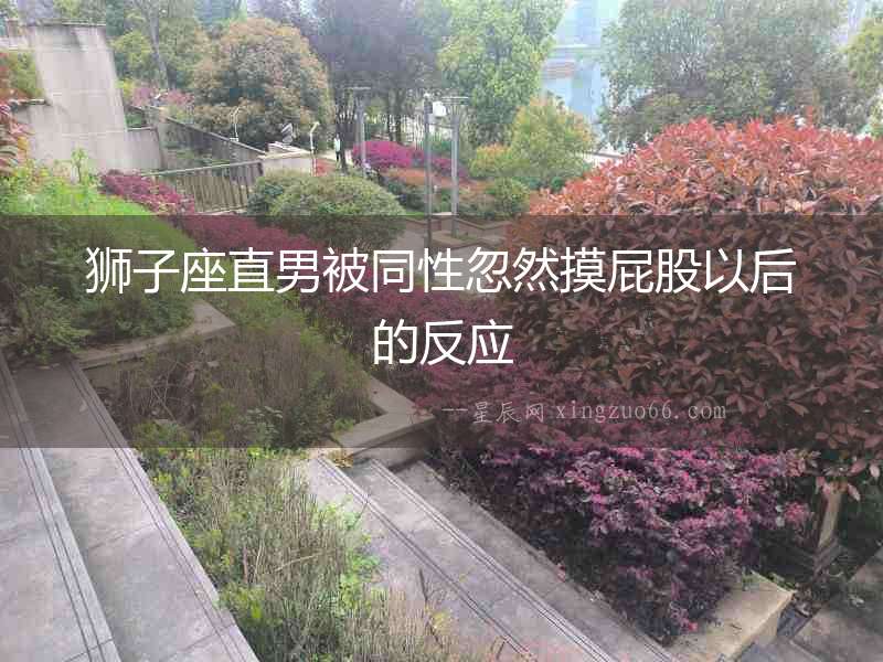 獅子座直男被同性忽然摸屁股以后的反應(yīng)