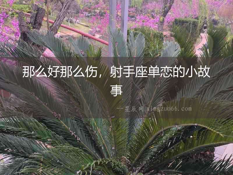 那么好那么傷，射手座單戀的小故事