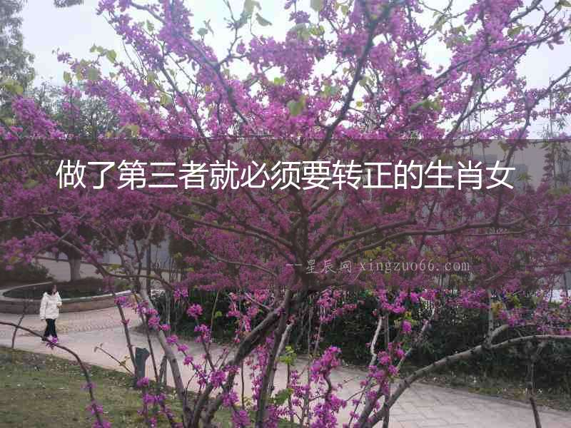 做了第三者就必須要轉正的生肖女