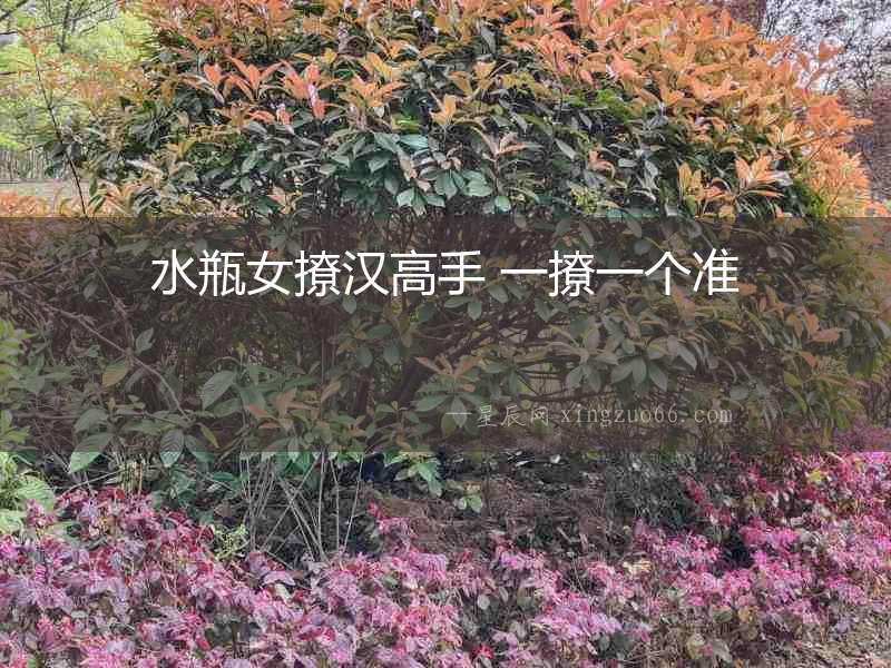 水瓶女撩漢高手 一撩一個準