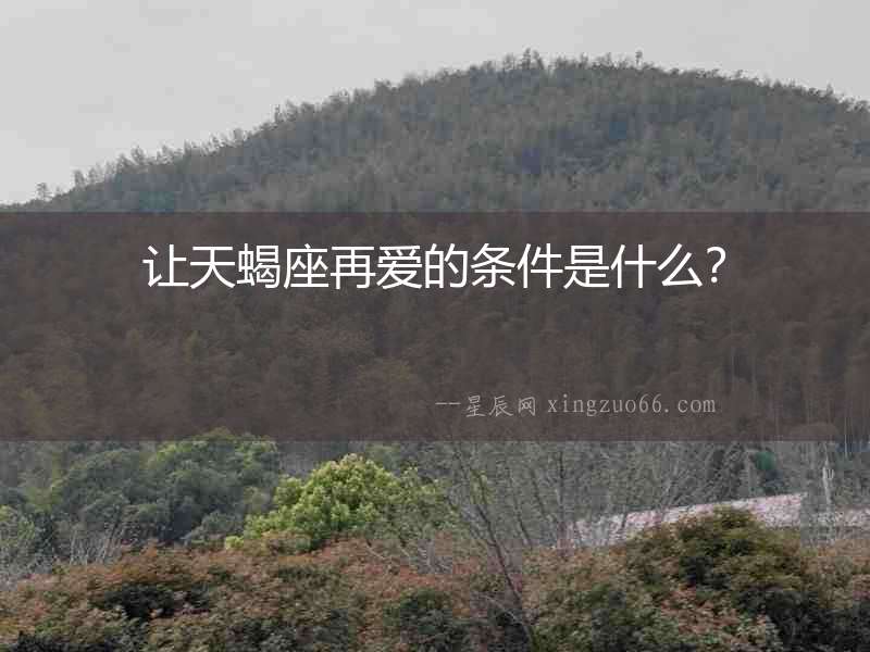 讓天蝎座再愛的條件是什么？