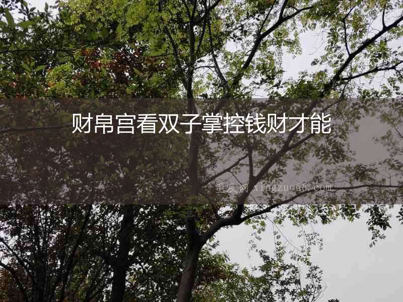 財(cái)帛宮看雙子掌控錢財(cái)才能
