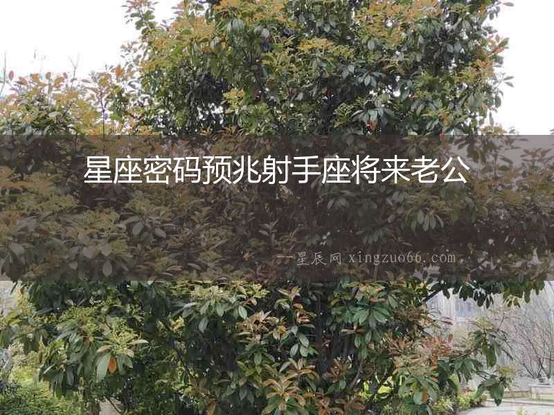 星座密碼預(yù)兆射手座將來(lái)老公