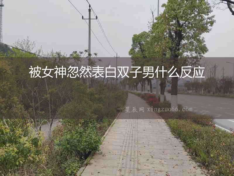被女神忽然表白雙子男什么反應