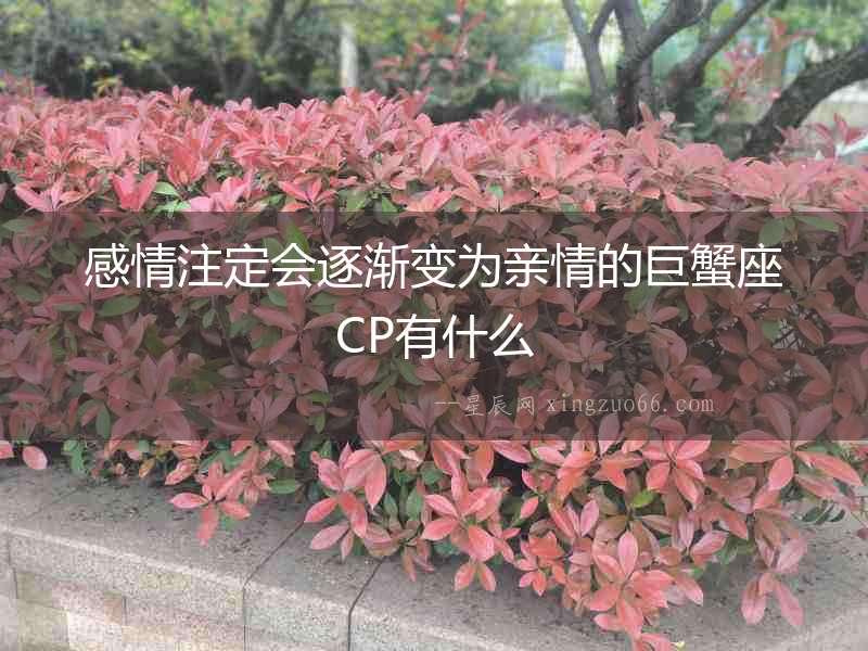 感情注定會逐漸變為親情的巨蟹座CP有什么