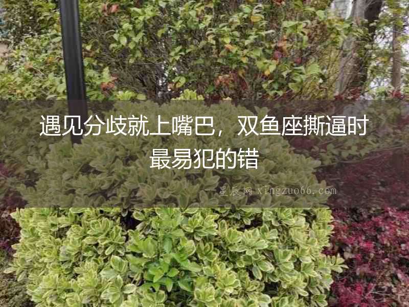 遇見分歧就上嘴巴，雙魚座撕逼時最易犯的錯