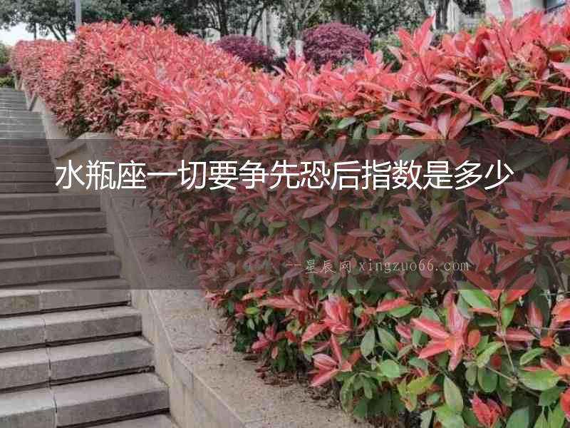 水瓶座一切要爭先恐后指數是多少