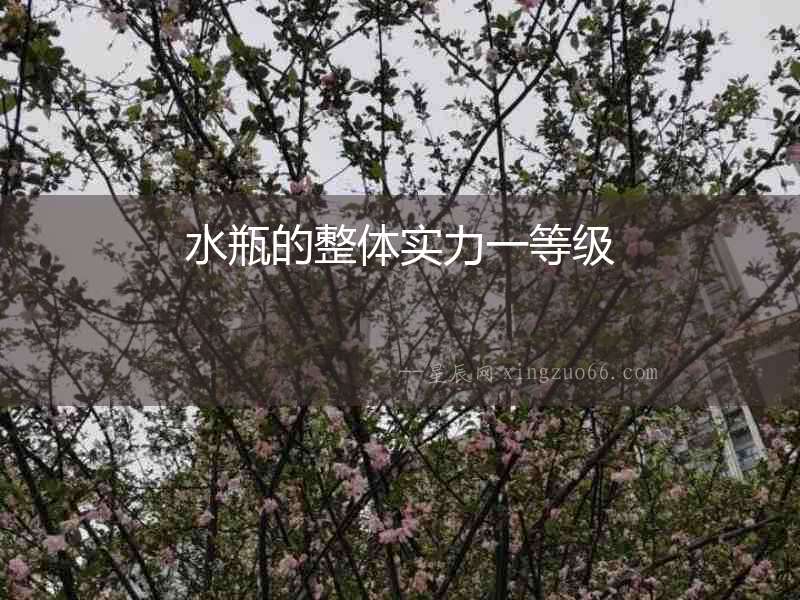 水瓶的整體實力一等級