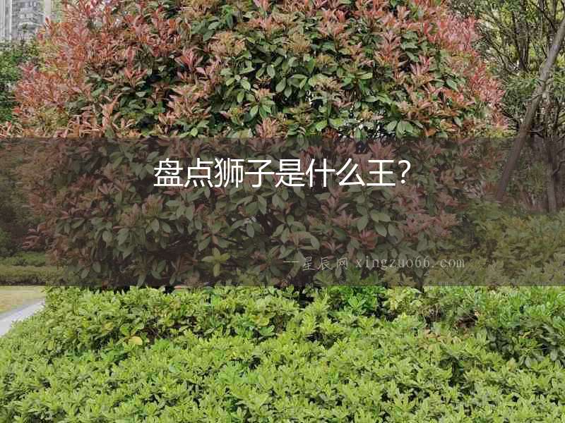 盤點獅子是什么王？
