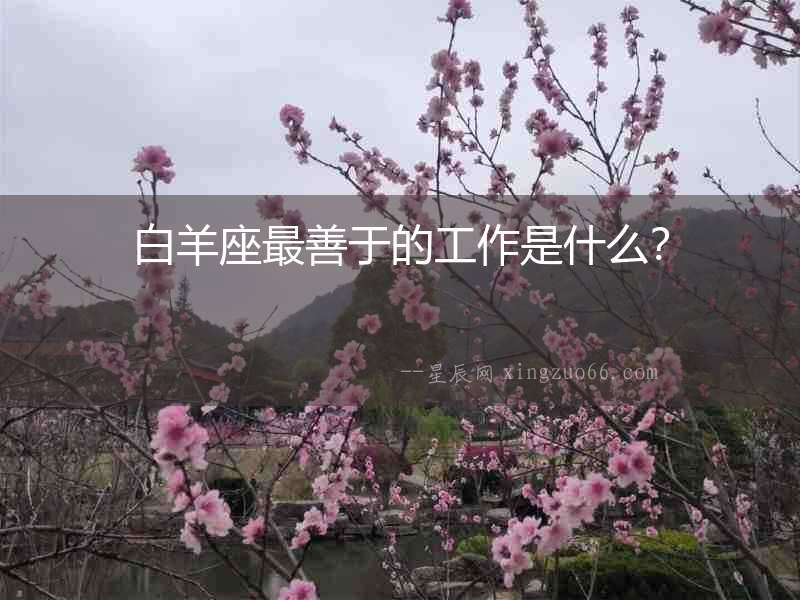 白羊座最善于的工作是什么？